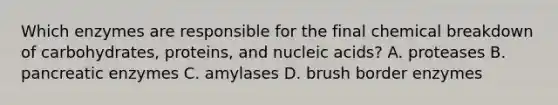 Which enzymes are responsible for the final chemical breakdown of carbohydrates, proteins, and nucleic acids? A. proteases B. pancreatic enzymes C. amylases D. brush border enzymes