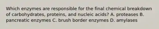 Which enzymes are responsible for the final chemical breakdown of carbohydrates, proteins, and nucleic acids? A. proteases B. pancreatic enzymes C. brush border enzymes D. amylases