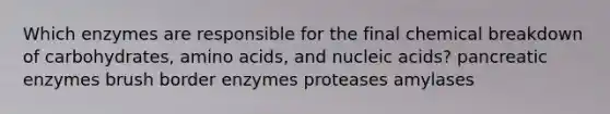 Which enzymes are responsible for the final chemical breakdown of carbohydrates, amino acids, and nucleic acids? pancreatic enzymes brush border enzymes proteases amylases