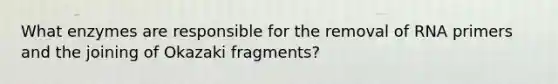 What enzymes are responsible for the removal of RNA primers and the joining of Okazaki fragments?