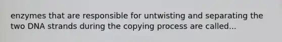 enzymes that are responsible for untwisting and separating the two DNA strands during the copying process are called...