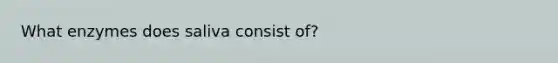 What enzymes does saliva consist of?