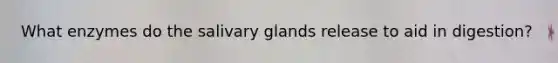 What enzymes do the salivary glands release to aid in digestion?