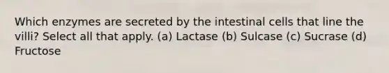 Which enzymes are secreted by the intestinal cells that line the villi? Select all that apply. (a) Lactase (b) Sulcase (c) Sucrase (d) Fructose