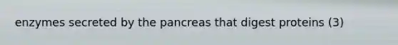 enzymes secreted by the pancreas that digest proteins (3)