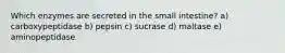 Which enzymes are secreted in the small intestine? a) carboxypeptidase b) pepsin c) sucrase d) maltase e) aminopeptidase