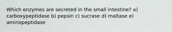 Which enzymes are secreted in <a href='https://www.questionai.com/knowledge/kt623fh5xn-the-small-intestine' class='anchor-knowledge'>the small intestine</a>? a) carboxypeptidase b) pepsin c) sucrase d) maltase e) aminopeptidase