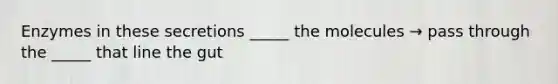 Enzymes in these secretions _____ the molecules → pass through the _____ that line the gut