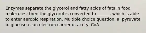 Enzymes separate the glycerol and fatty acids of fats in food molecules; then the glycerol is converted to ______, which is able to enter aerobic respiration. Multiple choice question. a. pyruvate b. glucose c. an electron carrier d. acetyl CoA