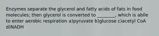 Enzymes separate the glycerol and fatty acids of fats in food molecules; then glycerol is converted to ________, which is ablle to enter <a href='https://www.questionai.com/knowledge/kyxGdbadrV-aerobic-respiration' class='anchor-knowledge'>aerobic respiration</a> a)pyruvate b)glucose c)acetyl CoA d)NADH