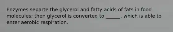 Enzymes separte the glycerol and fatty acids of fats in food molecules; then glycerol is converted to ______, which is able to enter <a href='https://www.questionai.com/knowledge/kyxGdbadrV-aerobic-respiration' class='anchor-knowledge'>aerobic respiration</a>.