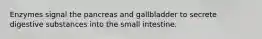 Enzymes signal the pancreas and gallbladder to secrete digestive substances into the small intestine.