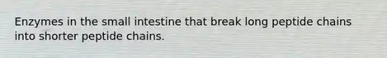 Enzymes in the small intestine that break long peptide chains into shorter peptide chains.