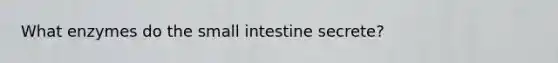 What enzymes do the small intestine secrete?