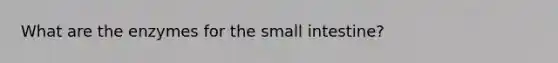 What are the enzymes for the small intestine?