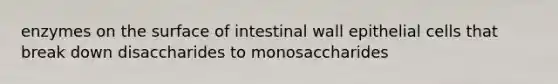 enzymes on the surface of intestinal wall epithelial cells that break down disaccharides to monosaccharides