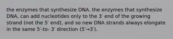 the enzymes that synthesize DNA. the enzymes that synthesize DNA, can add nucleotides only to the 3′ end of the growing strand (not the 5′ end), and so new DNA strands always elongate in the same 5′-to- 3′ direction (5′→3′).