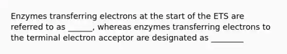 Enzymes transferring electrons at the start of the ETS are referred to as ______, whereas enzymes transferring electrons to the terminal electron acceptor are designated as ________