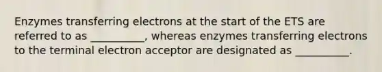 Enzymes transferring electrons at the start of the ETS are referred to as __________, whereas enzymes transferring electrons to the terminal electron acceptor are designated as __________.