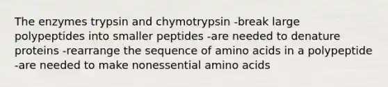 The enzymes trypsin and chymotrypsin -break large polypeptides into smaller peptides -are needed to denature proteins -rearrange the sequence of amino acids in a polypeptide -are needed to make nonessential amino acids