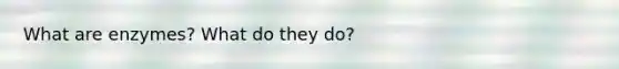 What are enzymes? What do they do?