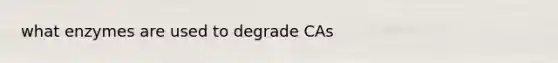 what enzymes are used to degrade CAs