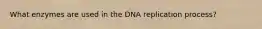 What enzymes are used in the DNA replication process?