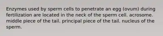 Enzymes used by sperm cells to penetrate an egg (ovum) during fertilization are located in the neck of the sperm cell. acrosome. middle piece of the tail. principal piece of the tail. nucleus of the sperm.