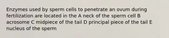 Enzymes used by sperm cells to penetrate an ovum during fertilization are located in the A neck of the sperm cell B acrosome C midpiece of the tail D principal piece of the tail E nucleus of the sperm