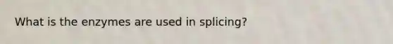 What is the enzymes are used in splicing?