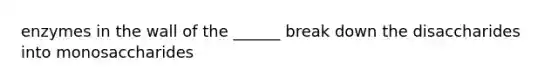 enzymes in the wall of the ______ break down the disaccharides into monosaccharides