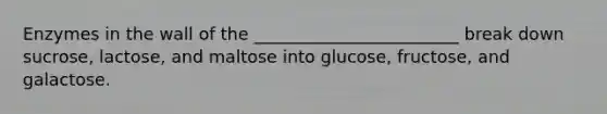 Enzymes in the wall of the ________________________ break down sucrose, lactose, and maltose into glucose, fructose, and galactose.