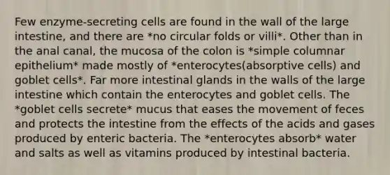 Few enzyme-secreting cells are found in the wall of the large intestine, and there are *no circular folds or villi*. Other than in the anal canal, the mucosa of the colon is *simple columnar epithelium* made mostly of *enterocytes(absorptive cells) and goblet cells*. Far more intestinal glands in the walls of the large intestine which contain the enterocytes and goblet cells. The *goblet cells secrete* mucus that eases the movement of feces and protects the intestine from the effects of the acids and gases produced by enteric bacteria. The *enterocytes absorb* water and salts as well as vitamins produced by intestinal bacteria.