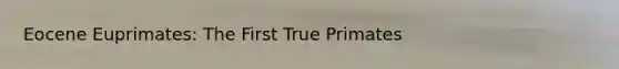 Eocene Euprimates: The First True Primates