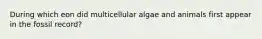 During which eon did multicellular algae and animals first appear in the fossil record?