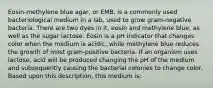 Eosin-methylene blue agar, or EMB, is a commonly used bacteriological medium in a lab, used to grow gram-negative bacteria. There are two dyes in it, eosin and methylene blue, as well as the sugar lactose. Eosin is a pH indicator that changes color when the medium is acidic, while methylene blue reduces the growth of most gram-positive bacteria. If an organism uses lactose, acid will be produced changing the pH of the medium and subsequently causing the bacterial colonies to change color. Based upon this description, this medium is: