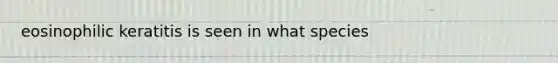 eosinophilic keratitis is seen in what species