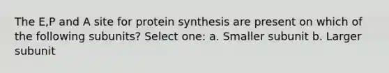 The E,P and A site for protein synthesis are present on which of the following subunits? Select one: a. Smaller subunit b. Larger subunit