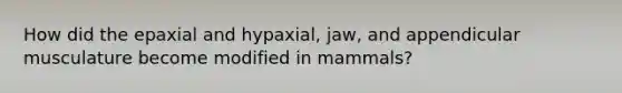 How did the epaxial and hypaxial, jaw, and appendicular musculature become modified in mammals?