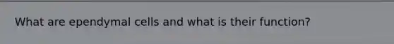 What are ependymal cells and what is their function?