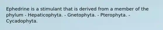 Ephedrine is a stimulant that is derived from a member of the phylum - Hepaticophyta. - Gnetophyta. - Pterophyta. - Cycadophyta.