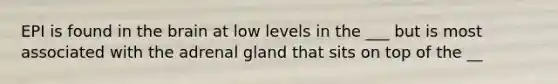 EPI is found in the brain at low levels in the ___ but is most associated with the adrenal gland that sits on top of the __