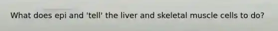 What does epi and 'tell' the liver and skeletal muscle cells to do?