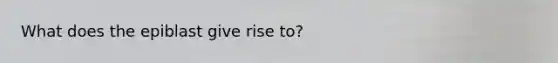 What does the epiblast give rise to?