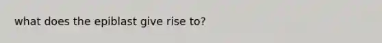 what does the epiblast give rise to?