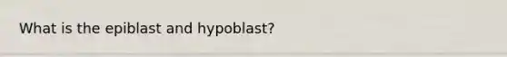 What is the epiblast and hypoblast?