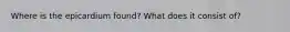 Where is the epicardium found? What does it consist of?