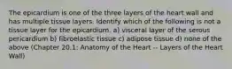 The epicardium is one of the three layers of the heart wall and has multiple tissue layers. Identify which of the following is not a tissue layer for the epicardium. a) visceral layer of the serous pericardium b) fibroelastic tissue c) adipose tissue d) none of the above (Chapter 20.1: Anatomy of the Heart -- Layers of the Heart Wall)