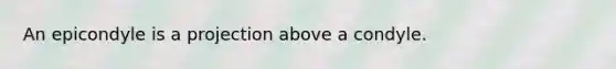 An epicondyle is a projection above a condyle.