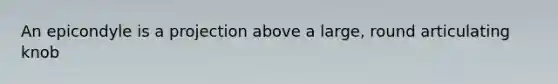 An epicondyle is a projection above a large, round articulating knob